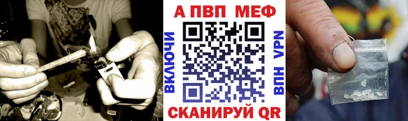 A PVP СК  Липки 